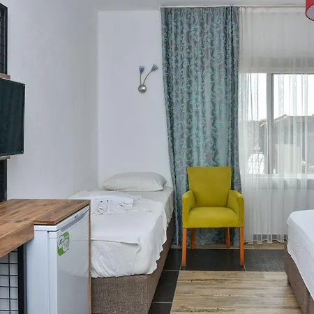 Cinar House